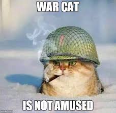 Tangtay123's tweet photo. @anonhistory https://t.co/NRTya2QTJk