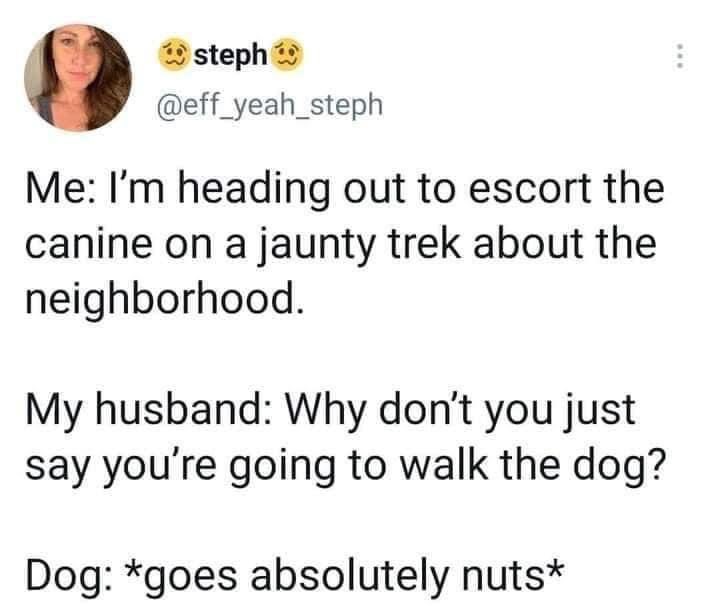 #WalkTheDog