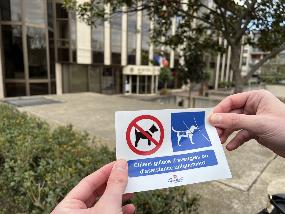 villederueil's tweet photo. 🦮 Aujourd’hui, Hénda Hamza, adjointe à la Protection animale, et @Xabi_Elz étaient accompagnés de représentants de l’association #Handichien pour distribuer des autocollants indiquant que les chiens d’assistance sont autorisés dans tous les commerces. https://t.co/TtwN4YQ6Dp