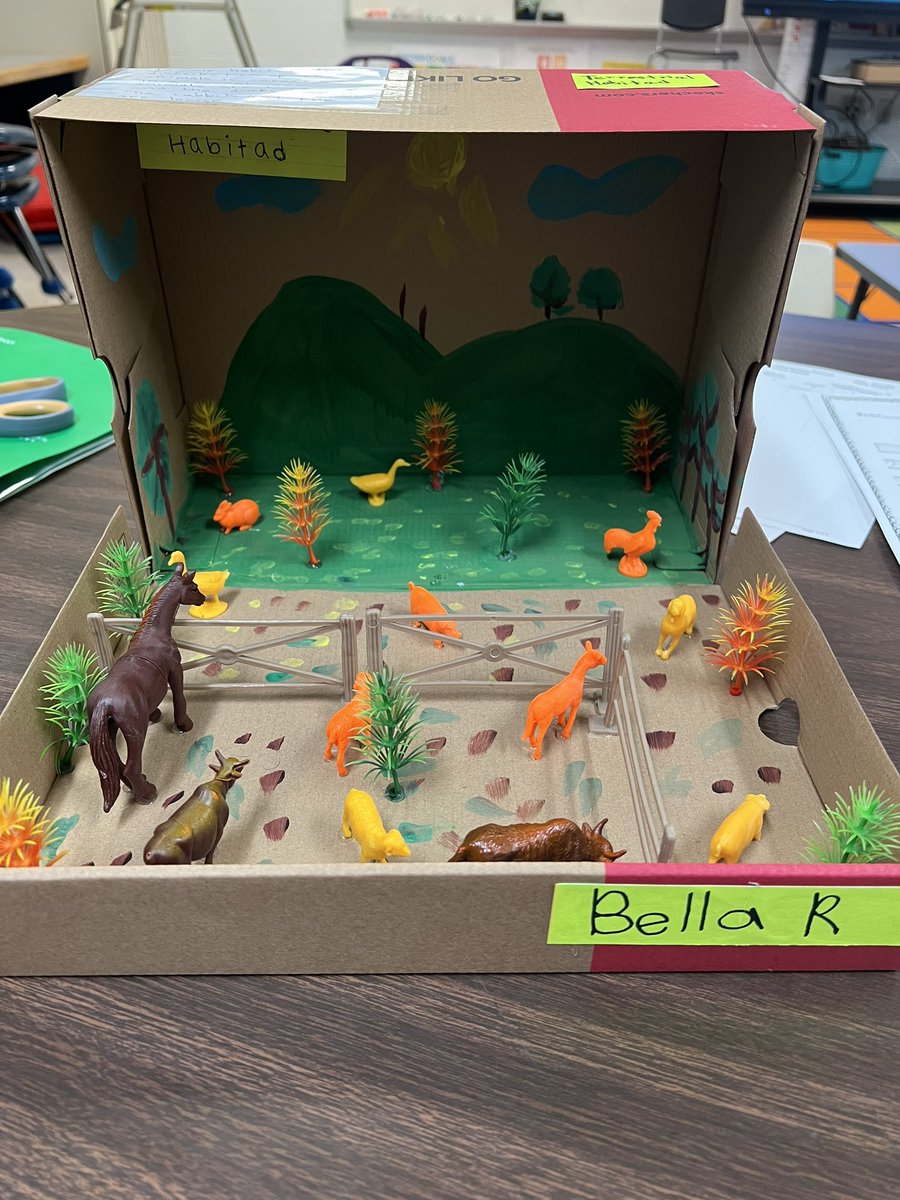 MsSlaughterBAES's tweet photo. I love seeing how creative our students are with building their habitats! #BAESShines https://t.co/VCzb8Zhw50