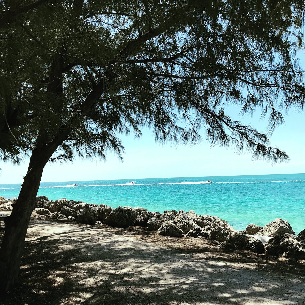 Thank you for the upgrade to first class, American Airlines! What a great way to start out my trip to Key West. #travel #vacation #keywest #travelphotography #airlines #traveling