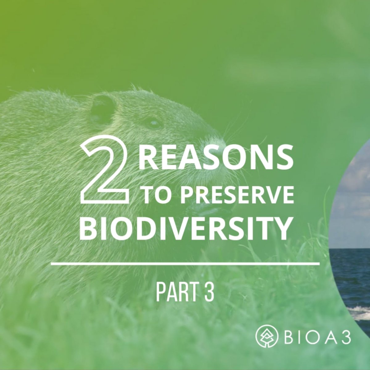 BioA3_Official's tweet photo. The environment inspires us to be better citizens of planet Earth. It's time to take action. 

Join us and be part of the community.

#Crypto #altcoin #altcoinsignal #cryptonews
📍 Follow us in our socials https://t.co/r5GYDGvV4k https://t.co/eiClpbf11V