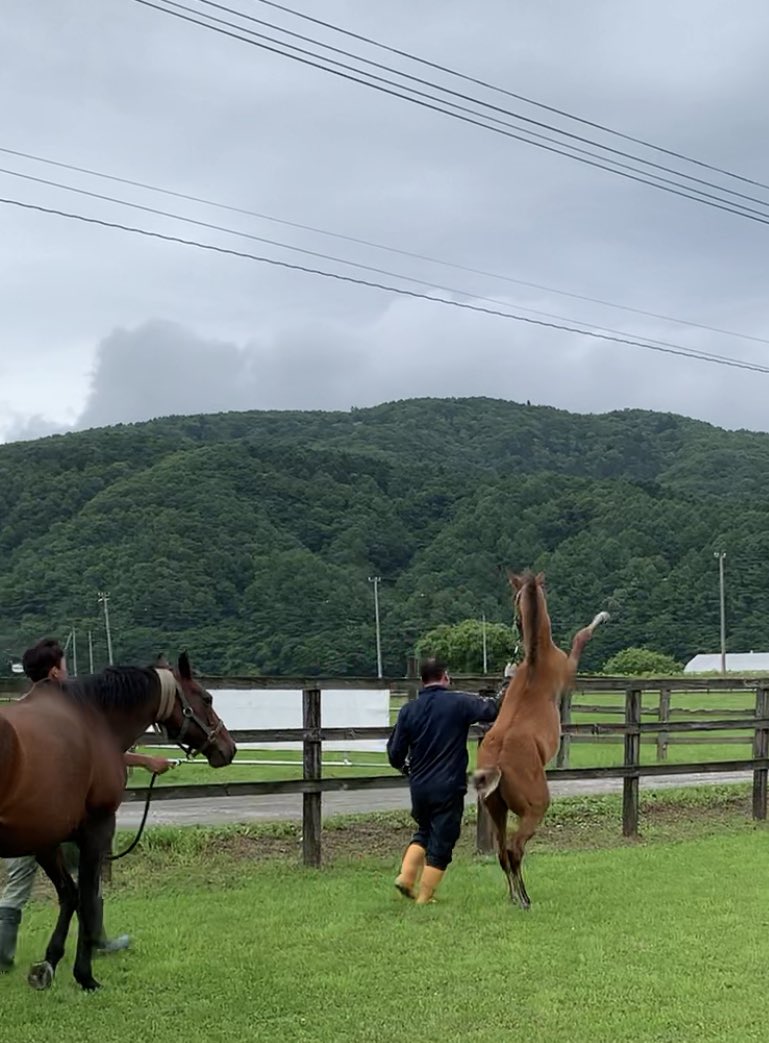 ホースエージェント・岡井塾長 on Twitter