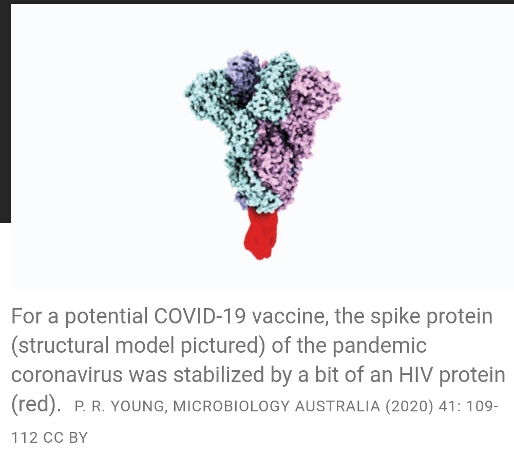 madelynrogers's tweet photo. @Storiesofinjury @babibelle33 @Bethenny #vaid #vaids #HIV #AIDS could it be the HIV in the vaccine ?
Auto immune disease. Worsened the more boosters administered.
Photo from a bbc news article explaining how covid vaccine works. https://t.co/DIJ6wyGibY