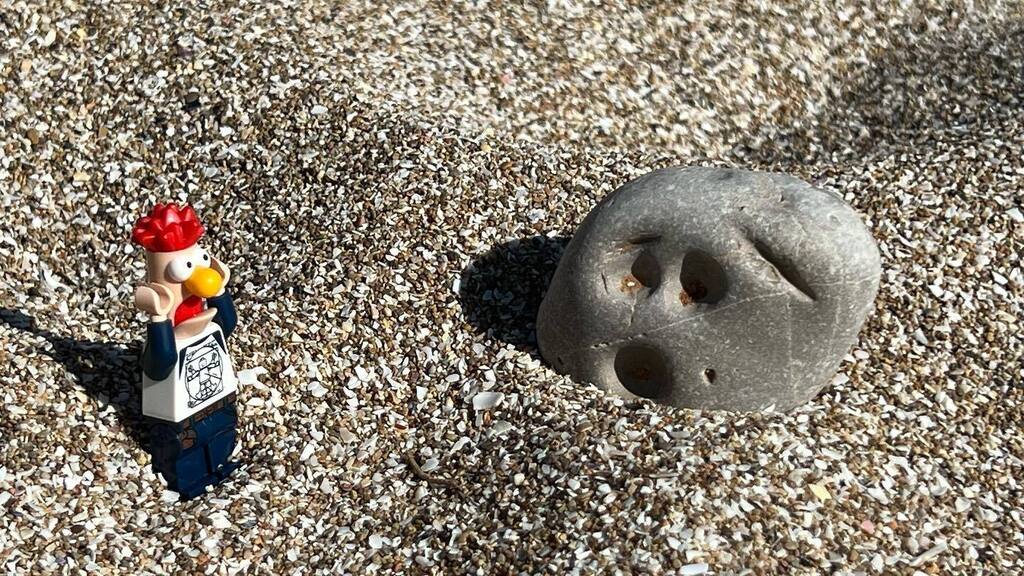 rand0_3's tweet photo. It's like looking in a mirror! // ¡Es como mirarse en un espejo!
.
.
.
.
.

#Lego #legominifigures #legominifigs #minifiguraslego #legophotography #legofotografia #naturaleza #nature #outdoors #outdoorminifigs #minifigurasalairelibre #legointhewild #outd… https://t.co/qXifzLkrEJ https://t.co/wZMrQGErDl