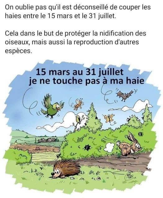 MarilyneChenuet's tweet photo. 📢 La haie
- limite les risques d’inondations
- retient l’eau
- protège du vent/du soleil
- fait baisser la température
- accueille une faune précieuse
Voici pourquoi vous pouvez recevoir une amende si vous taillez vos haies en mars :
#TouchePasÀMaHaie
https://t.co/xbPV5zwykr https://t.co/owbyS5zWPq
