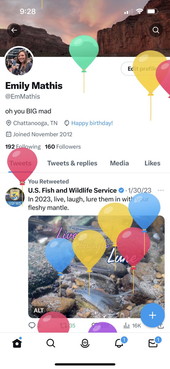 EmMathis's tweet photo. Why I have a Twitter account: https://t.co/b5oaJWeZA2