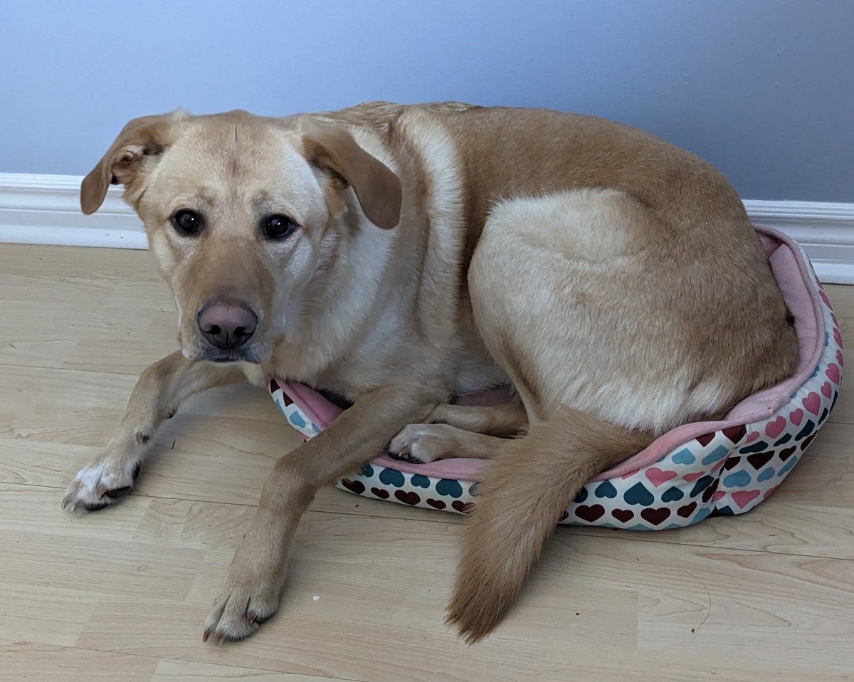 Maritza Basaran tweet media