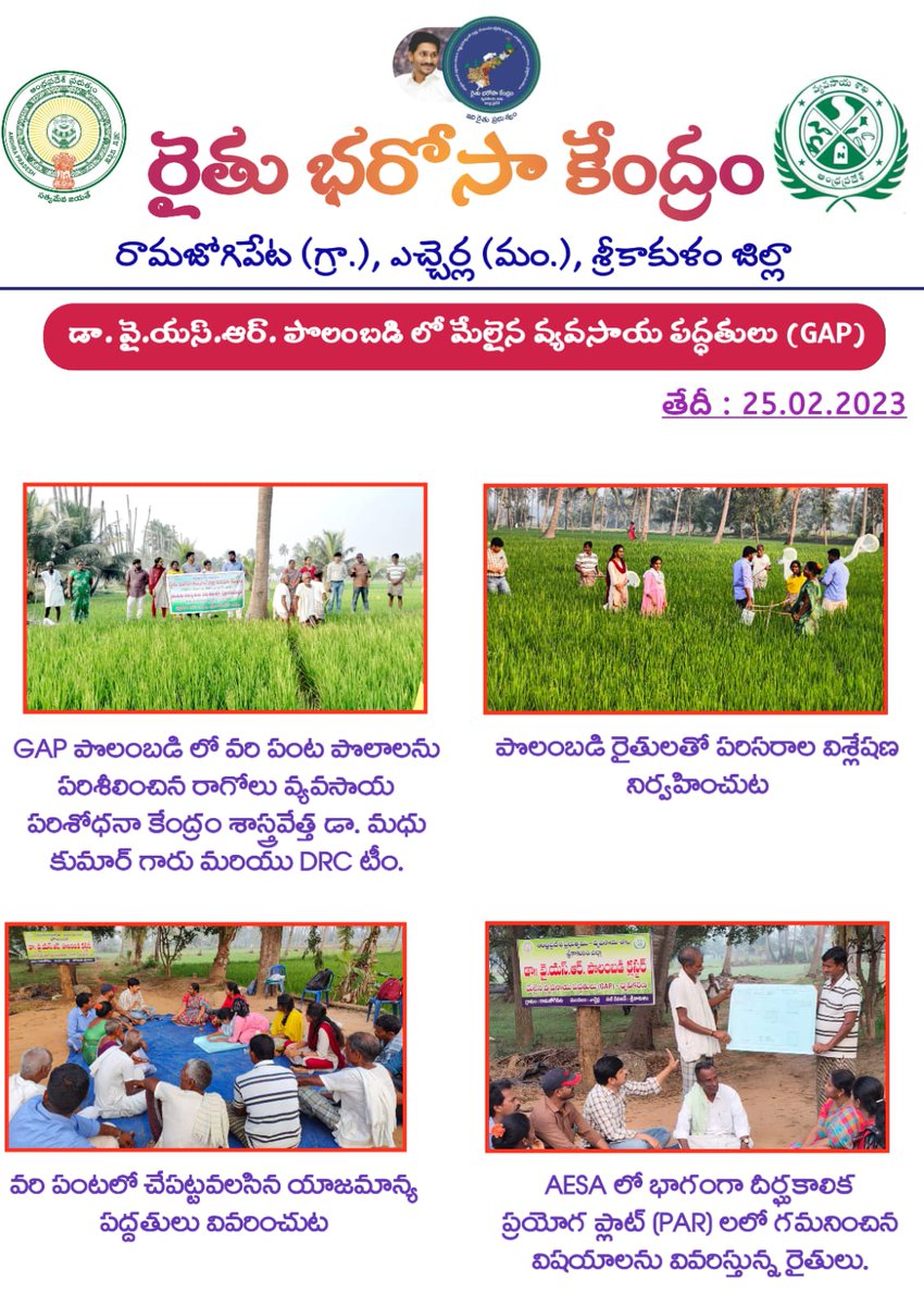 ChJaganmohan123's tweet photo. Dr. YSR Polambadi (GAP)Activities in Ramajogipeta village of Etcherla mandal in Srikakulam district.  

Dr. Madhu Kumar, Seceintist , Agriculture research station , Ragolu,B.Rajini ADA®, Srikakulam, DRC team,MAO Etcherla, Polambadi farmers and VAHAs attended to this programme. https://t.co/i7gEzRKh5a