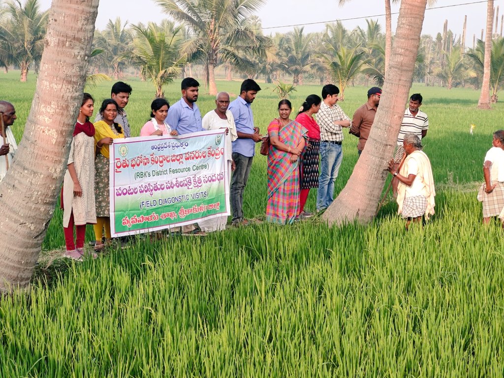 ChJaganmohan123's tweet photo. Dr. YSR Polambadi (GAP)Activities in Ramajogipeta village of Etcherla mandal in Srikakulam district.  

Dr. Madhu Kumar, Seceintist , Agriculture research station , Ragolu,B.Rajini ADA®, Srikakulam, DRC team,MAO Etcherla, Polambadi farmers and VAHAs attended to this programme. https://t.co/i7gEzRKh5a