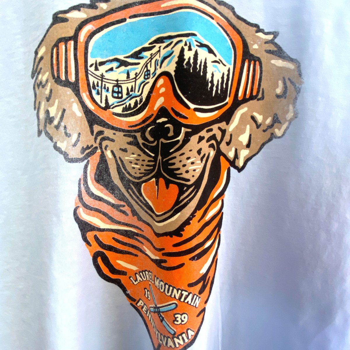 Laurel Mountain Ski tweet media