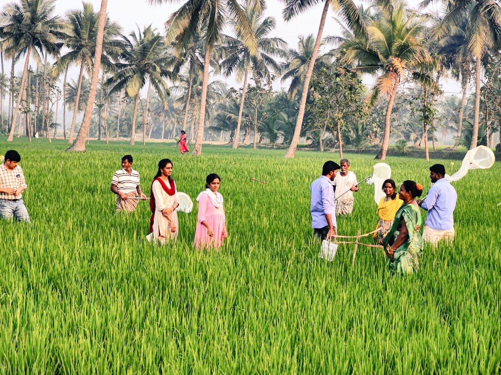 ChJaganmohan123's tweet photo. Dr. YSR Polambadi (GAP)Activities in Ramajogipeta village of Etcherla mandal in Srikakulam district.  

Dr. Madhu Kumar, Seceintist , Agriculture research station , Ragolu,B.Rajini ADA®, Srikakulam, DRC team,MAO Etcherla, Polambadi farmers and VAHAs attended to this programme. https://t.co/i7gEzRKh5a