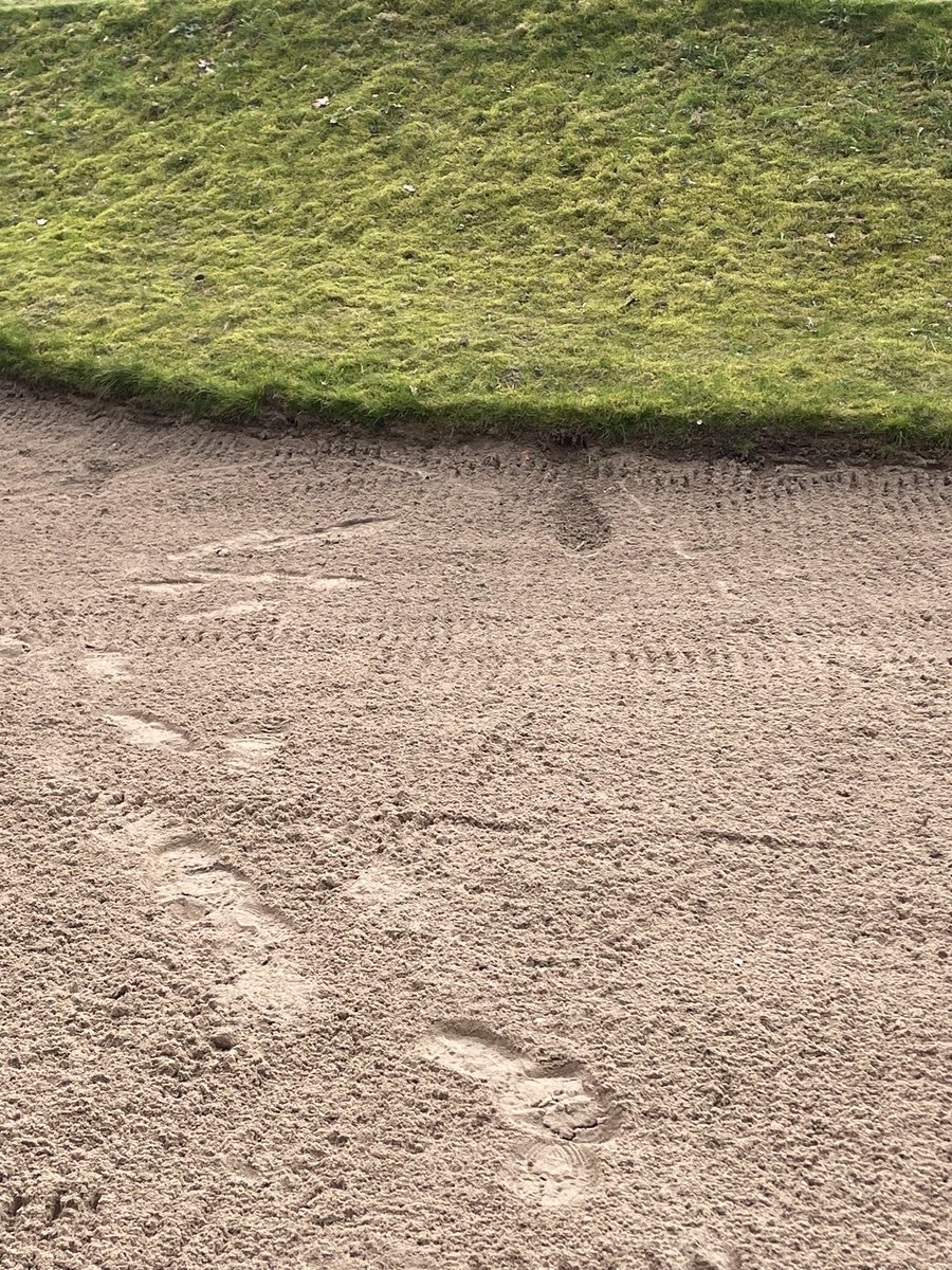 Andrew Murray tweet media