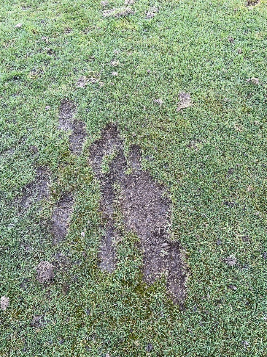 Andrew Murray tweet media