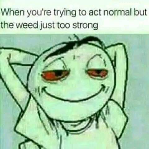 420guyproducts's tweet photo. Yep lol bout right ✅️ 
#420guyproducts #Theofficial420guy https://t.co/HSEhzyFzTg