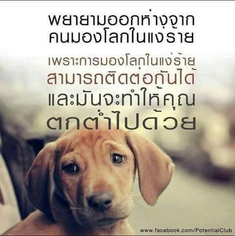 #truelife #sukkasemthailand 
#ชาวสุขเกษม #ลูกหลานตระกูลสุขเกษม
#ชมรมลูกหลานชาวตระกูลสุขเกษมแห่งประเทศไทย 
#Sukkasem #สุขเกษม  #ประเทศไทย