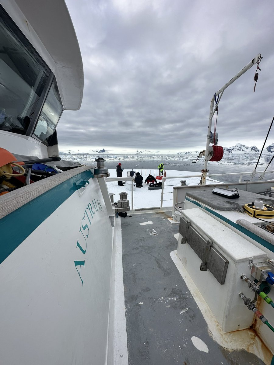 Sampling #icefloes in the #southernocean during the #tangoexpedition @belspo @APECSbelgium @ULBRecherche @Ocean_Exp