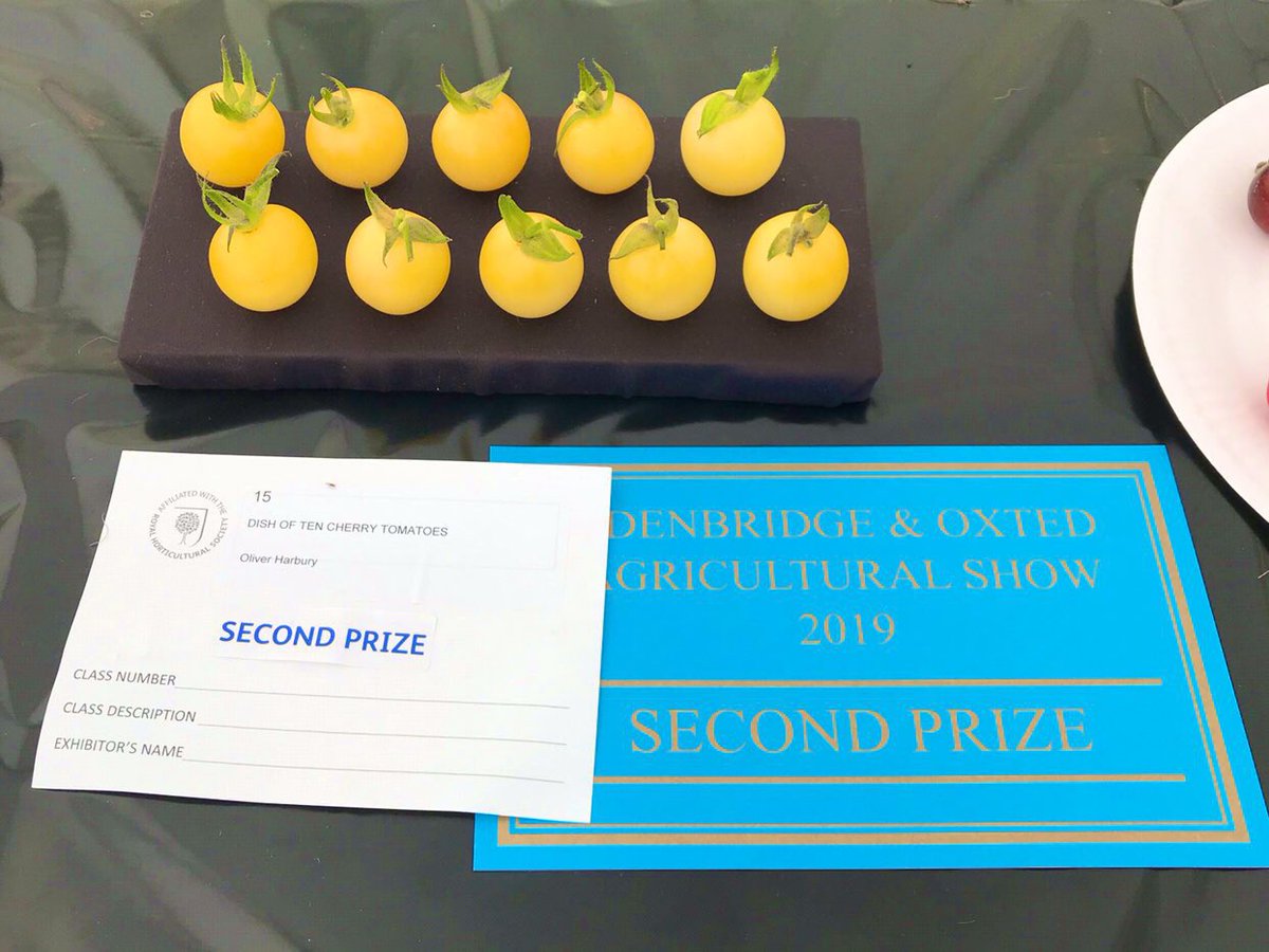 thatsyourplot's tweet image. Might as well start the Tomato grow, but which variety should I sow? Here’s some of my best #TomatoShortages #tomatogate #TurnipGate