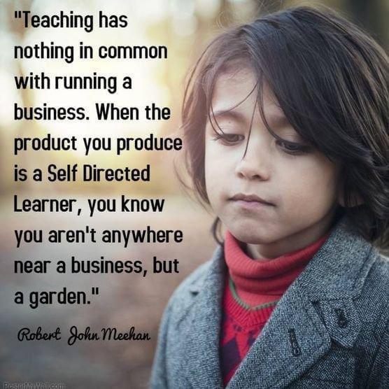 The Joy and Sorrows of a Teacher's Journey on Twitter "RT