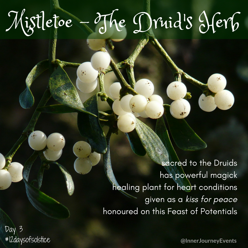 Druids of Wales & Ireland understood herbs🌿
Now scientists found that Mistletoe can treat cancer patients🌿
'Many clinical studies indicate a supportive efficacy of mistletoe extracts in tumor patients'
📚Bundesgesundheitsblatt Gesundheitsforschung Gesundheitsschutz 2020 May;63