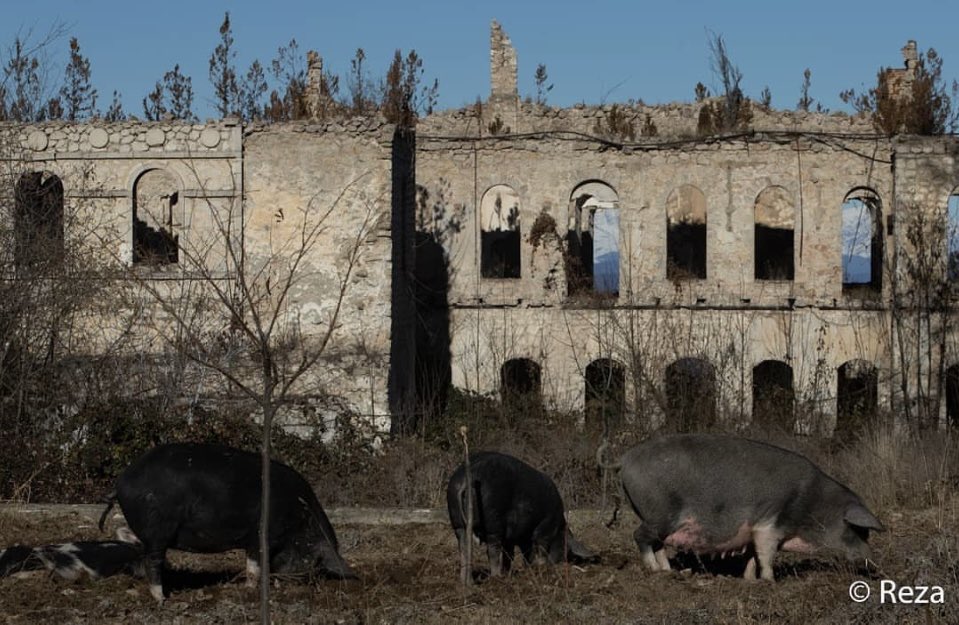 Thousands of unique examples of Azerbaijani cultural heritage in the liberated territories of #Azerbaijan have been subjected to destruction, pillage & looting by #Armenia. This is a gross violation of international law, especially #1954Convention #UNESCO 
📸 @REZAphotography