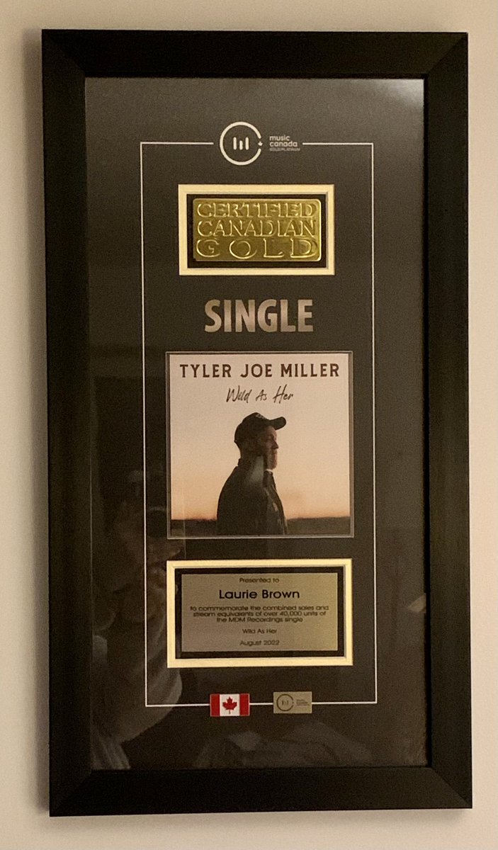 porchswingent's tweet photo. New PSE Office! The office is quite large with a walkout to a (soon to be) patio for the porch swing. For now it’s doubling as a temporary living room. Also - finally have a wall to hang a brand new gold record for @MDMRecordings @tylerjoemiller #wildasher . Congrats TJ! 🌟💿 https://t.co/heXmxrjEPm
