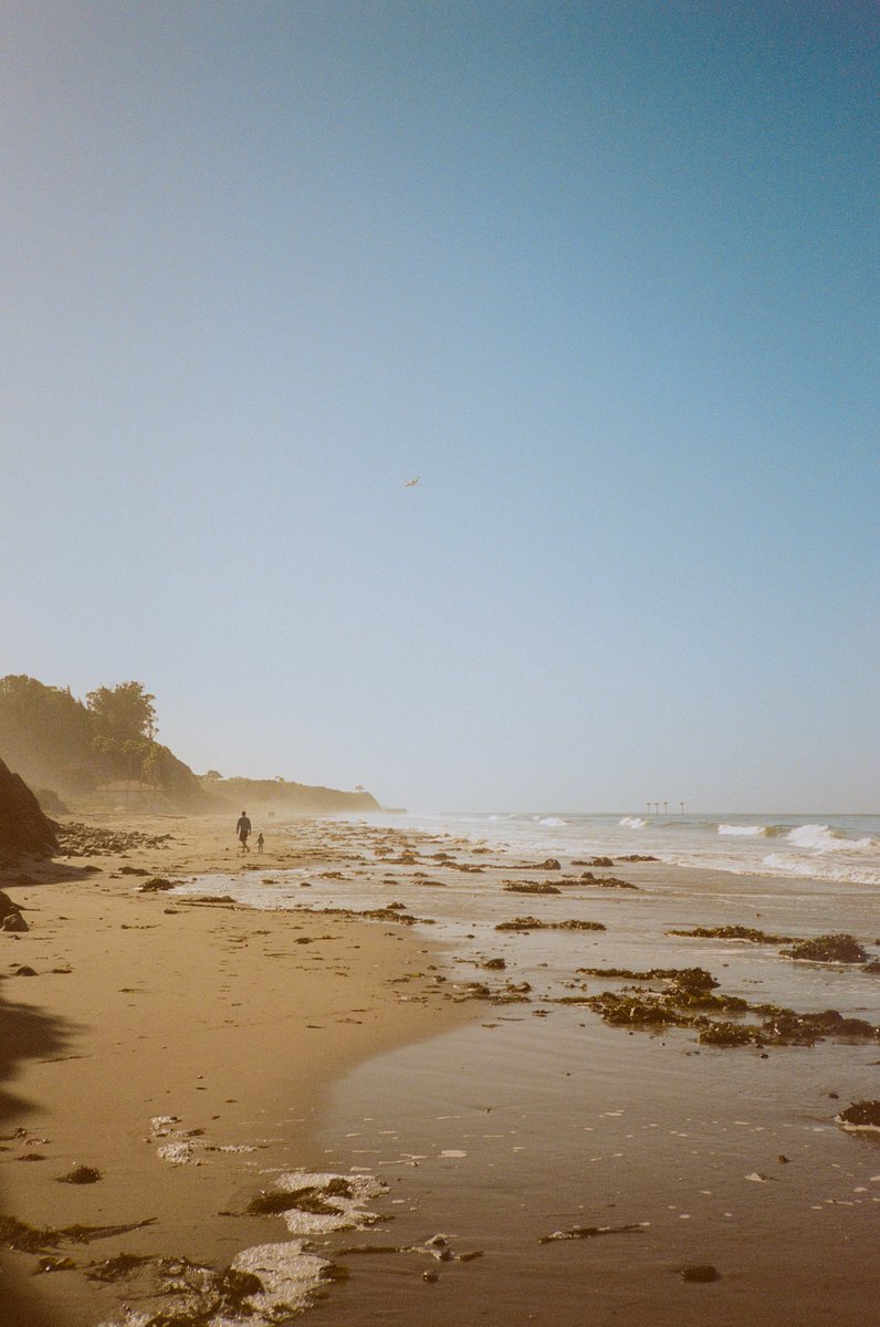 AlexKittoe's tweet photo. Santa Barbara on 35mm https://t.co/5tIlLKwq0P