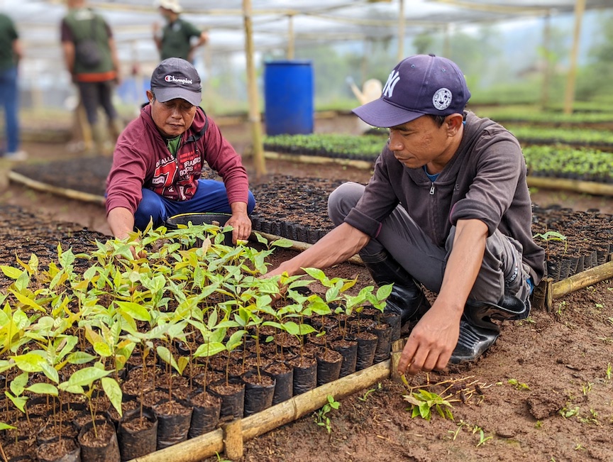 One Tree Planted tweet media