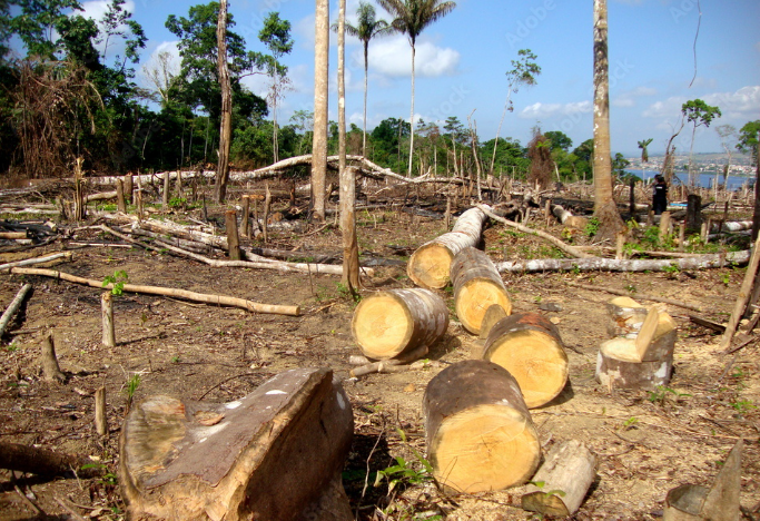 🔶'América Latina es una de las zonas con mayor biodiversidad del planeta, uno de los grandes pulmones de la Tierra y, al mismo tiempo, una de las regiones más vulnerables ante el cambio climático.

✍️ Por @lorenapacho 

👉 acortar.link/Q6VIS0