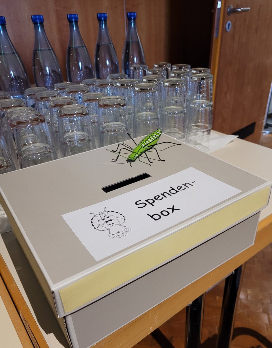 Pause beim 1. Stuttgarter #Entomologentag: Die Hälfte der Vorträge ist vorbei. 
Zeit, um aktuelle Forschungsergebnisse zu diskutieren und sich über neue Beobachtungen rund um #Insekten auszutauschen.
🦋🐝🐞🪰
 #forschungsmuseum #ImAuftragderVielfalt