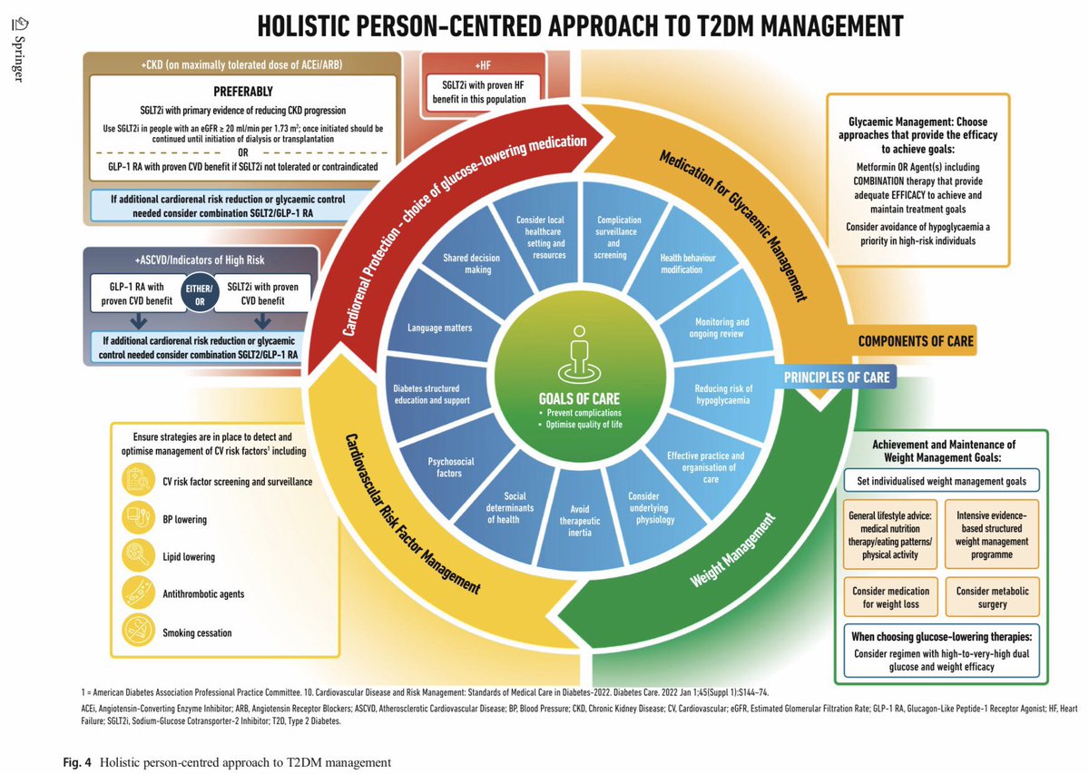 Medical_MD1's tweet photo. Notes and Approach✨

Diabetes Mellitus 2 Management 🧐

. https://t.co/LSeh9CtEnv