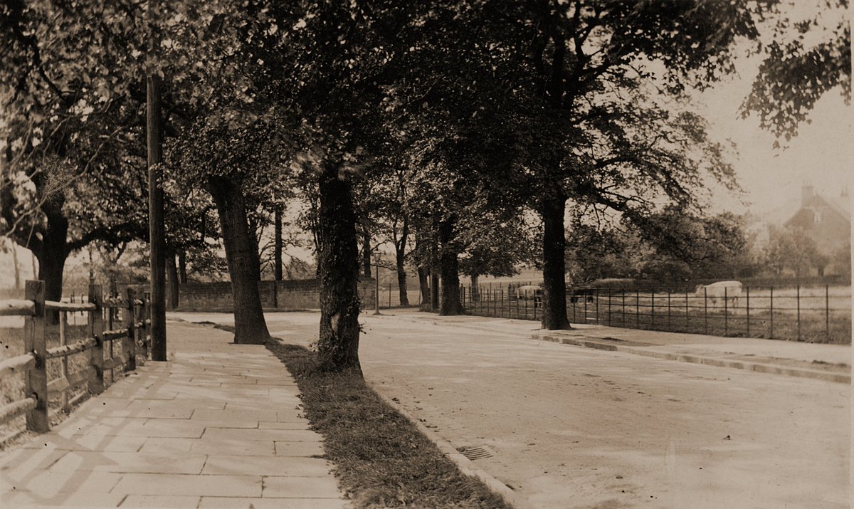 Old Roundhay tweet media