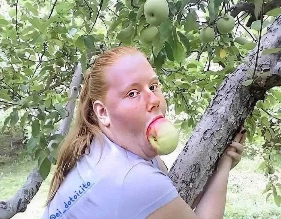 jcamiloorozco2's tweet image. Dios: "La única regla es que....

Eva: