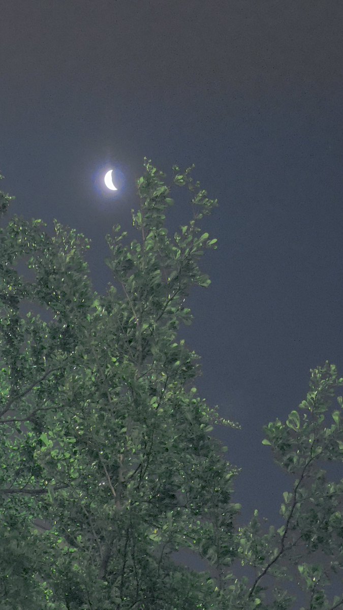 bindsids's tweet photo. Vanka jabili!!

#moonphotography #MyPhotography #NightPhotography #portraitphotography #NaturePhotograhpy 
#naturelovers #NatureBeauty #moon #Moonshot #Malaysia https://t.co/lTg3fyN01e