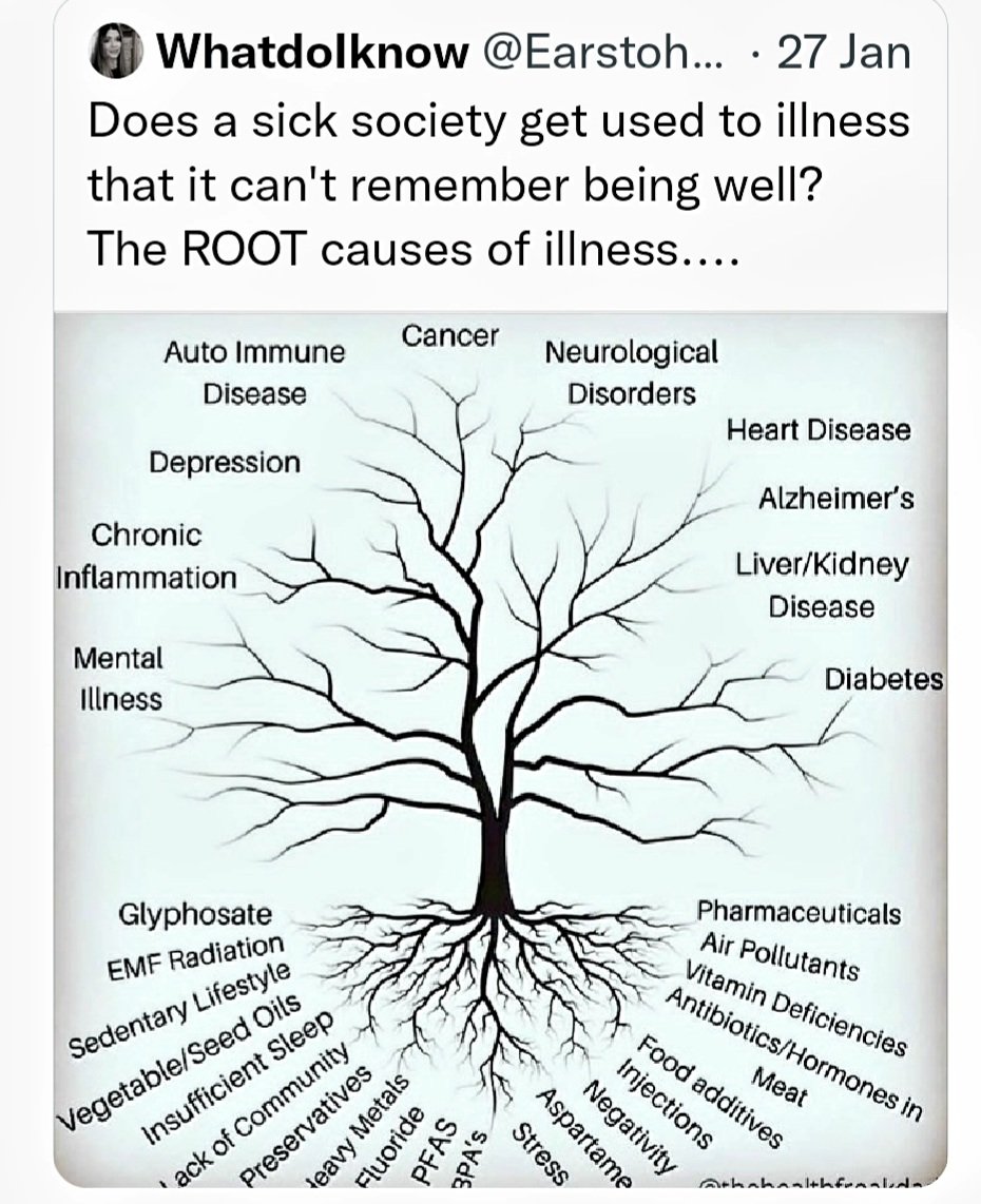 sereneKoncept's tweet image. Infograph: It&apos;s imperative to retain this #maladiesList /dis-ease as a guide &amp;amp; consider #rootCauses
Thanks @Earstohearyou