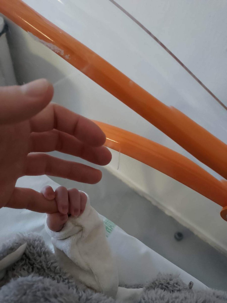 Nashul 🌸🌱 tweet media