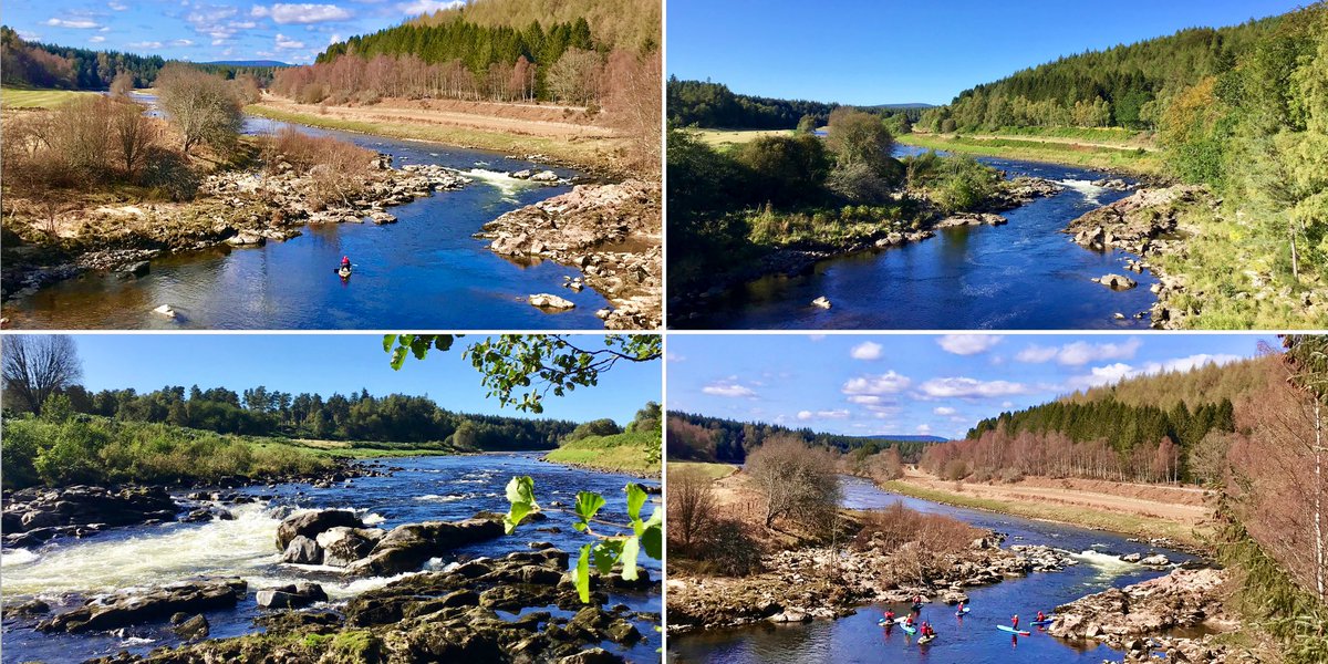 TheMackWalks's tweet photo. Spring & Summer, Potarch💙 Today, it was dreich…. #walking #potarch #craigmorewoods #craigmorehill #riverdee #deeside #aberdeenshire #walkingaberdeenshire #archive https://t.co/3GseRH1zjq