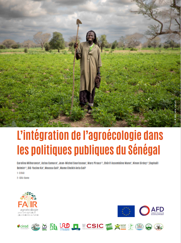 #PolitiquesPubliques/#Agroécologie |
Voici une étude réalisée par une équipe de l’ISRA- BAME et du @CIRAD qui évalue le processus d’intégration de l’#agroécologie dans les politiques publiques du Sénégal ▶ lnkd.in/eFy-pYRf
#Agroécologie #Politiques_Publiques #Agriculture