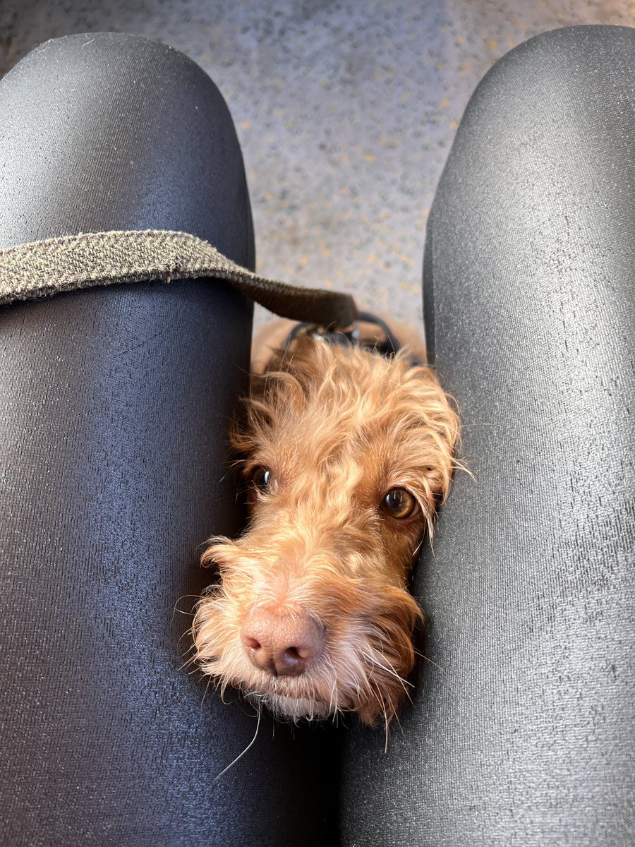 Kat Merchant tweet media