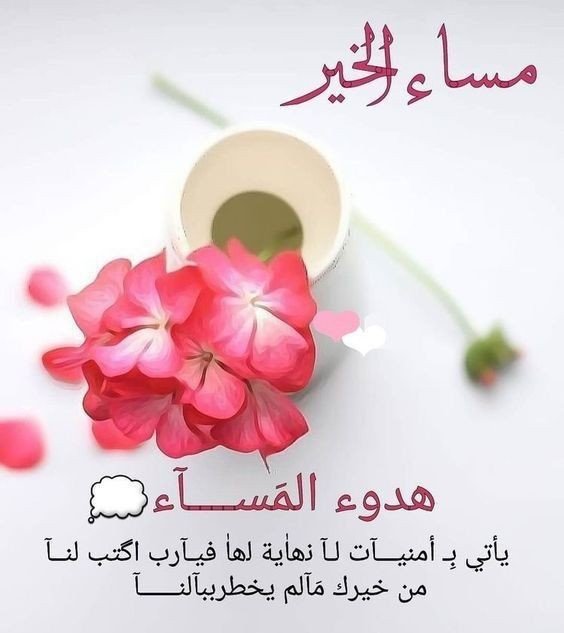 إسراء ✪لدعم 🔃➡️الحساب للبيع tweet media