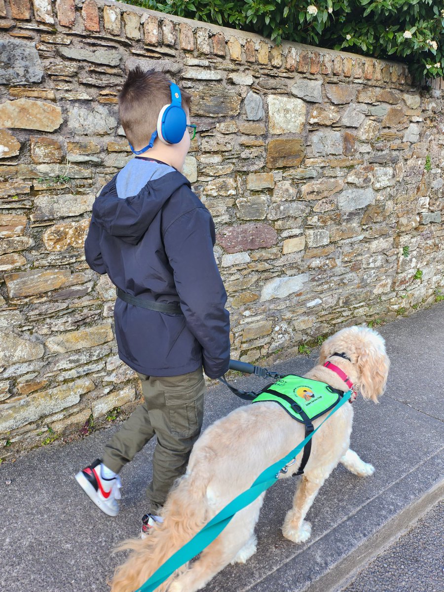 coleyduggs's tweet image. There was a time when leaving the house alone with this guy used to scare me so much because I couldn't hold him when he ran!

Now look at him!! Over 4 years attached to his best friend @mycaninecompani #autismservicedog Willow, and smashing goals daily!

#assistancedog #autism