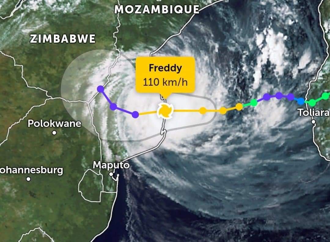 Prophet T Freddy tweet media