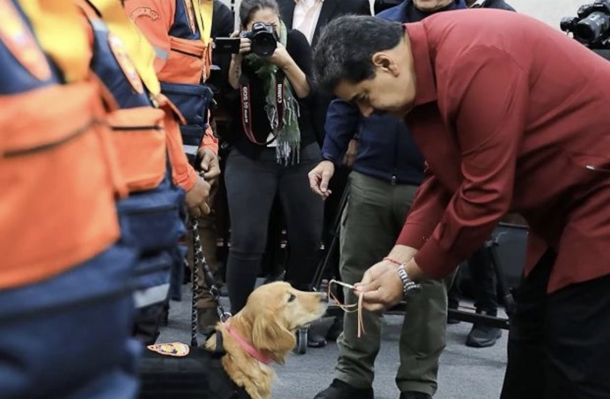MaGaby's tweet photo. Él es uno de los integrantes de la Fuerza de Tarea Humanitaria “Simón Bolívar”, quienes participaron en la búsqueda y rescate en zonas afectadas por los terremotos en Türkiye y Siria. 

Recibió Orden Francisco de Miranda por su loable labor ♥️

@NicolasMaduro https://t.co/Jo1HQa1tYE
