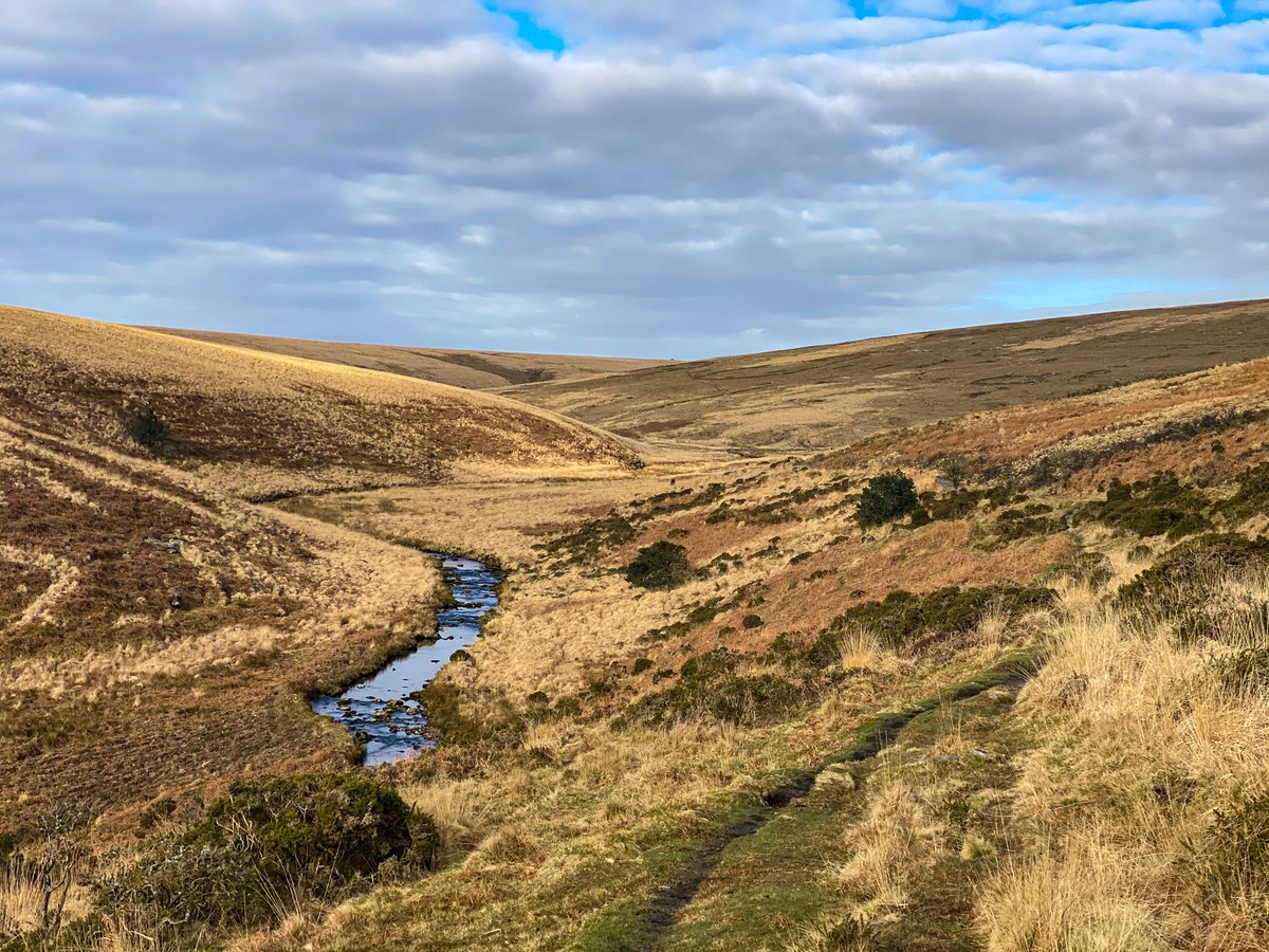 Dr Adrian Colston on Twitter "Spent most of the day marching through