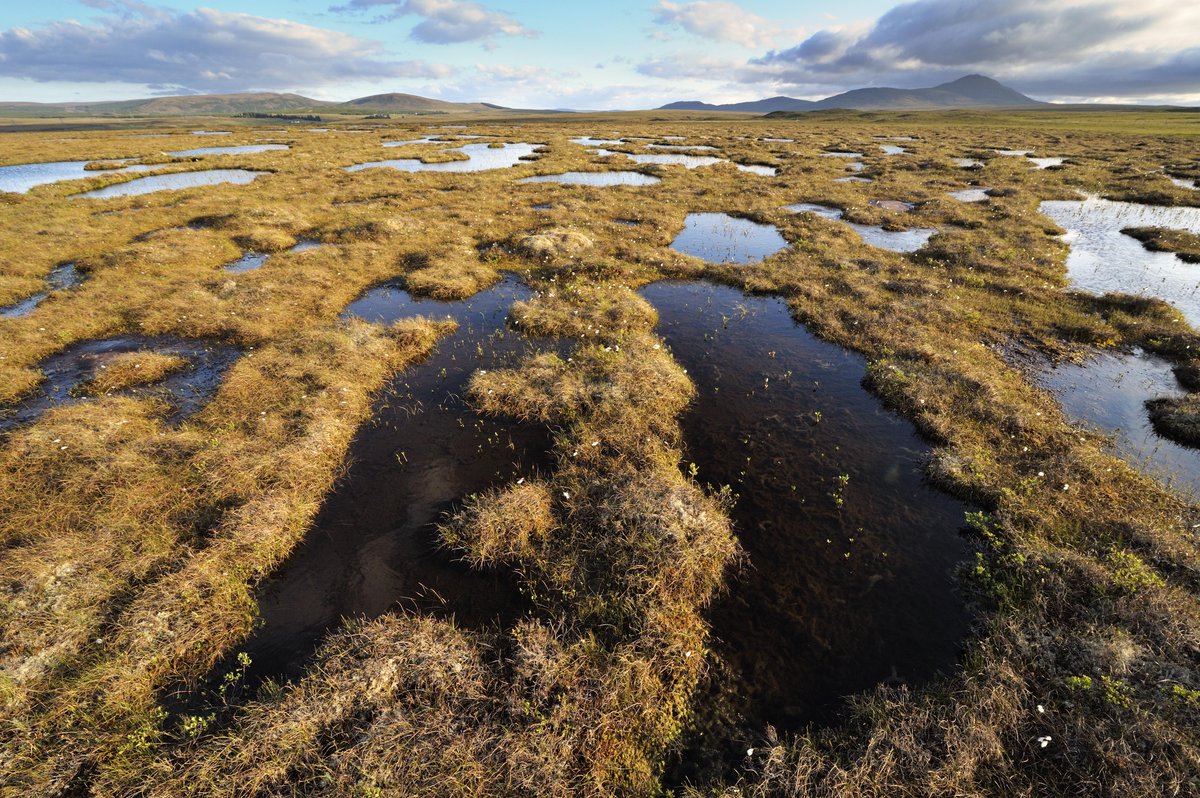 NatureScot tweet media