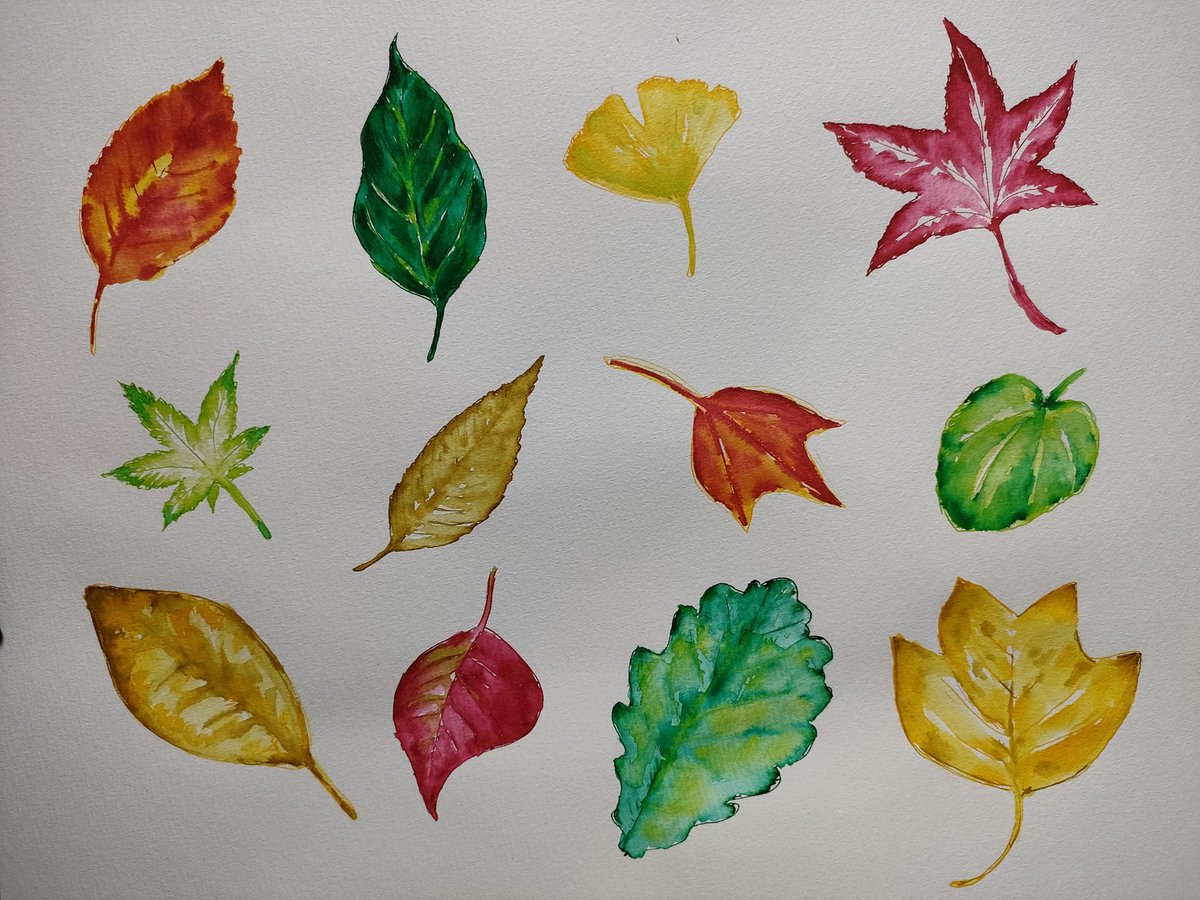 「ガラスペンで葉っぱ描いた#インク沼 」|よもぎ/ｸｽﾉｷ陽菜のイラスト