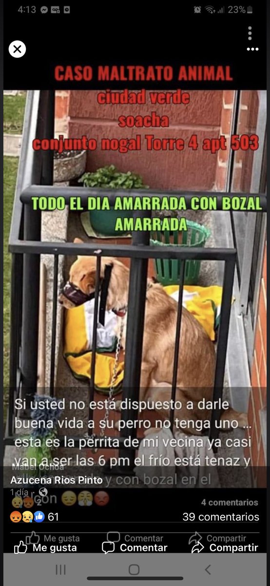 akalapatriciam's tweet photo. Por favor ayudar a denunciar  y sacar esta perrita de ese estado de maltrato animal todo el día con bozal sin comer con frío esto es en Ciudad Verde Soacha autoridades competentes se les pide presencia 🙏💙🤬 https://t.co/Yv3JqraPiX