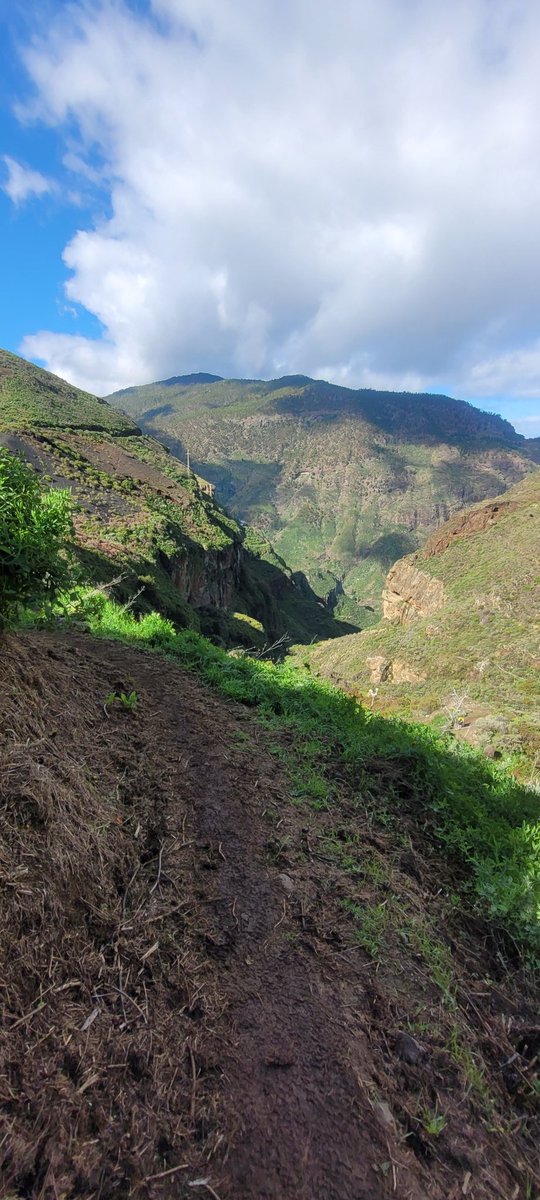Rudi Janssens 🇧🇪 🚌 🌳🏃🏼🚲🇧🇪 tweet media