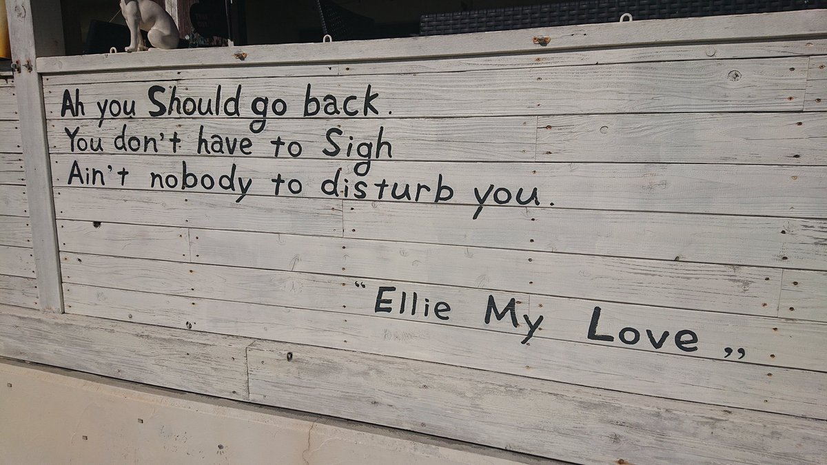 おはようございます。2月26日、日曜日です。写真は全て、神奈川県