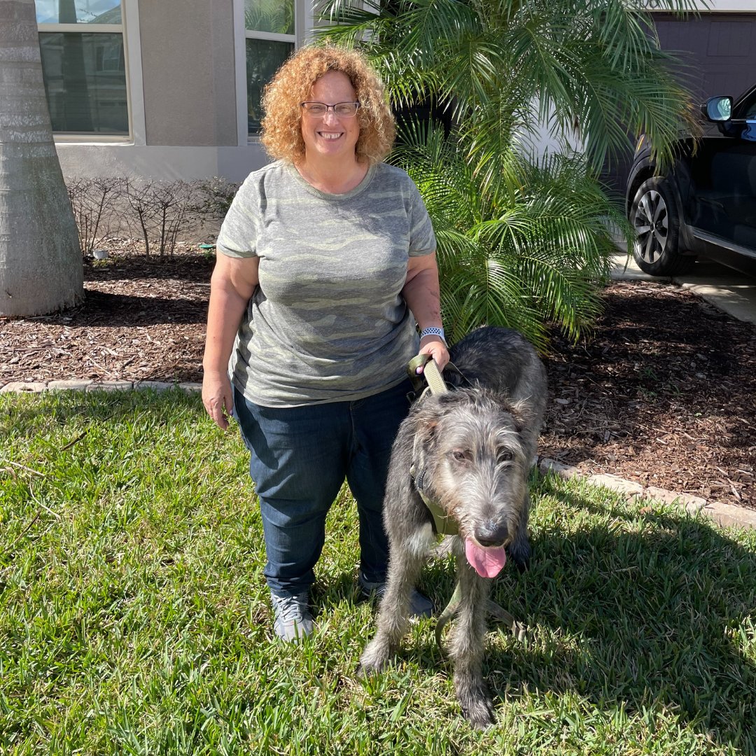 TampaDogTrainer's tweet photo. Florida Dog Training School came to train Arlo, a 6-month-old Irish Wolfhound, in Basic Training. Swipe to see Arlo working on down and stay.

#floridadogtraining #floridadog #dogtraining #dogtrainer #puppytraining  #florida #tampaflorida #landolakesfl #wesleychapel https://t.co/bK9LheilQ4